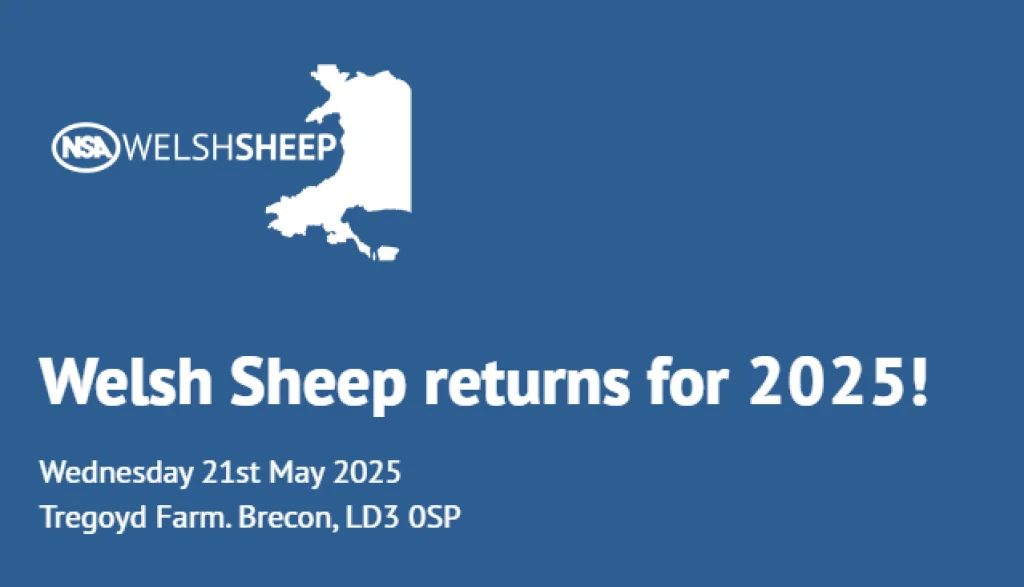 NSA Welsh Sheep Show