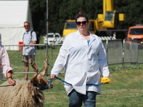 Usk Show 2025