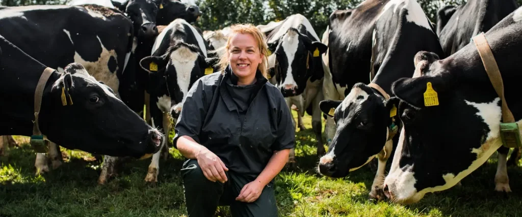 farm vet sitting in a field surrounded by dairy cows