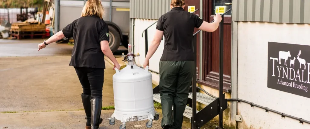 Two farm vets carrying a frozen embryo storage container