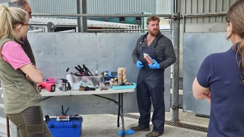 First Aid for Feet