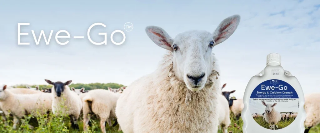 marketing image of a bottle of ewe-go with the sheep face of ewe-go a product for twin lamb disease