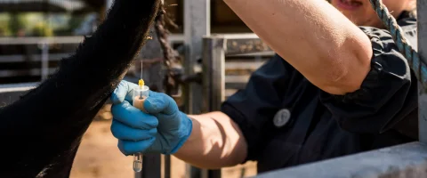 Laboratory services
