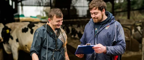 farm vet and dairy farmer looking at a clipboard